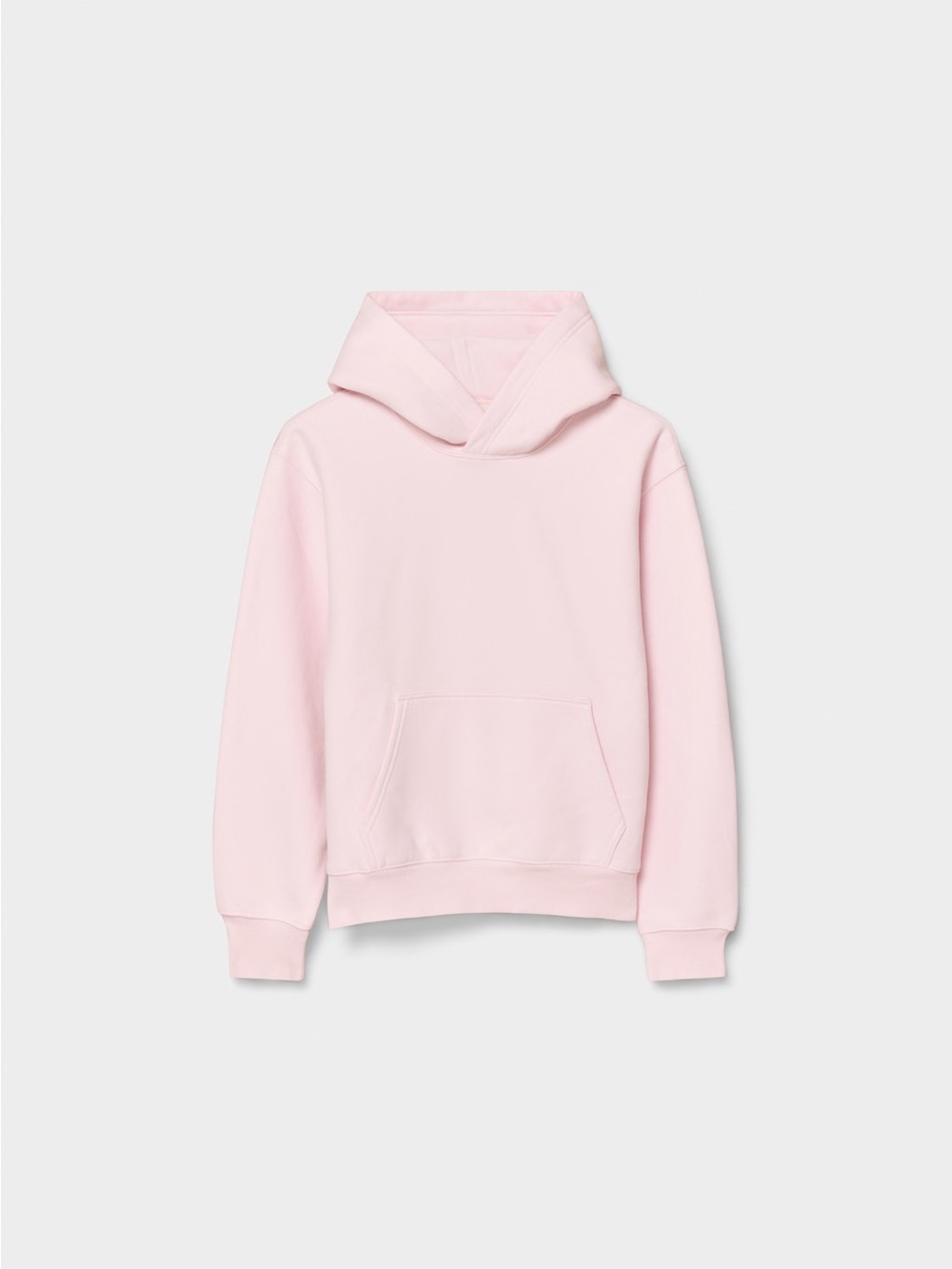 Aritzia Cozy Sweatfleece Perfect Hoodie Magnolia